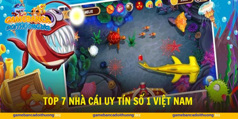 7 nhà cái uy tín nhất châu Á, đảm bảo không gây thất vọng