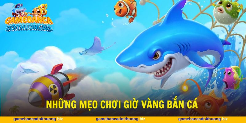 Các bí kíp để chơi vào giờ vàng bắn cá dễ thắng lớn