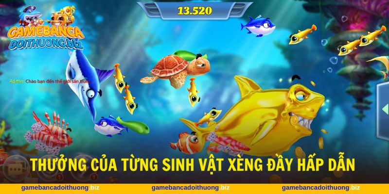 Hệ số sinh vật trong bắn cá Xèng giá trị đáng mong chờ