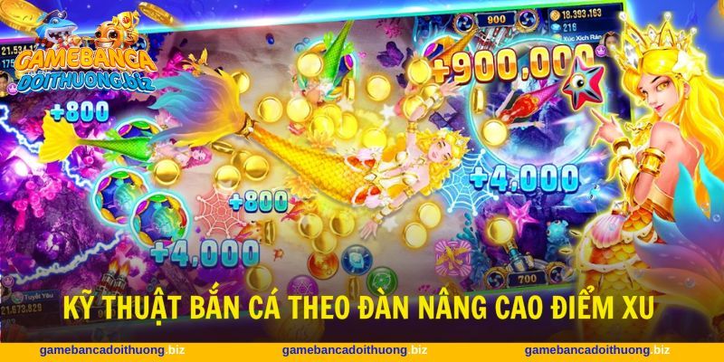 Kỹ thuật bắn cá theo đàn gia tăng nguồn vốn đáng kể
