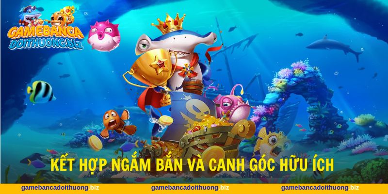 Ngắm chuẩn góc bắn theo từng diễn biến tối ưu hiệu quả