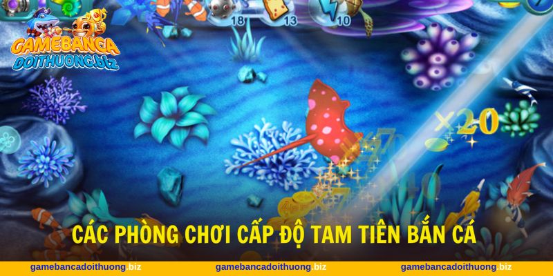 Nhiều phòng chơi cho người tham gia lựa chọn bắn cá