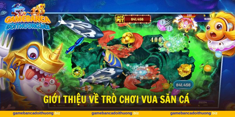 Vua săn cá mang đến sân chơi giải trí trực tuyến kịch tính